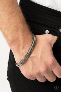 Extra Extraordinary/Extraordinary Edge-silver